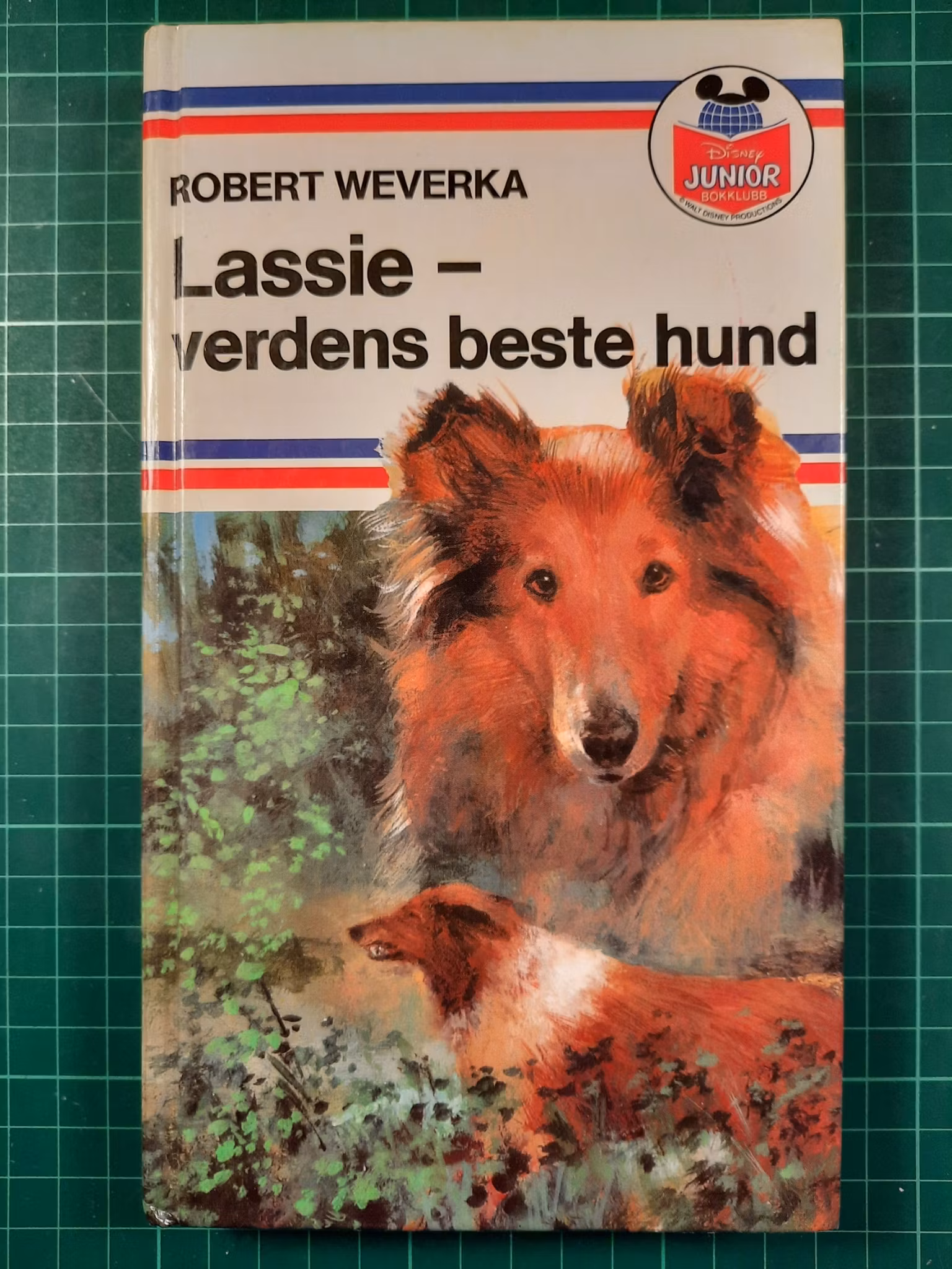 Lassie - Verdens beste hund