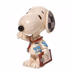 Snoopy Doctor