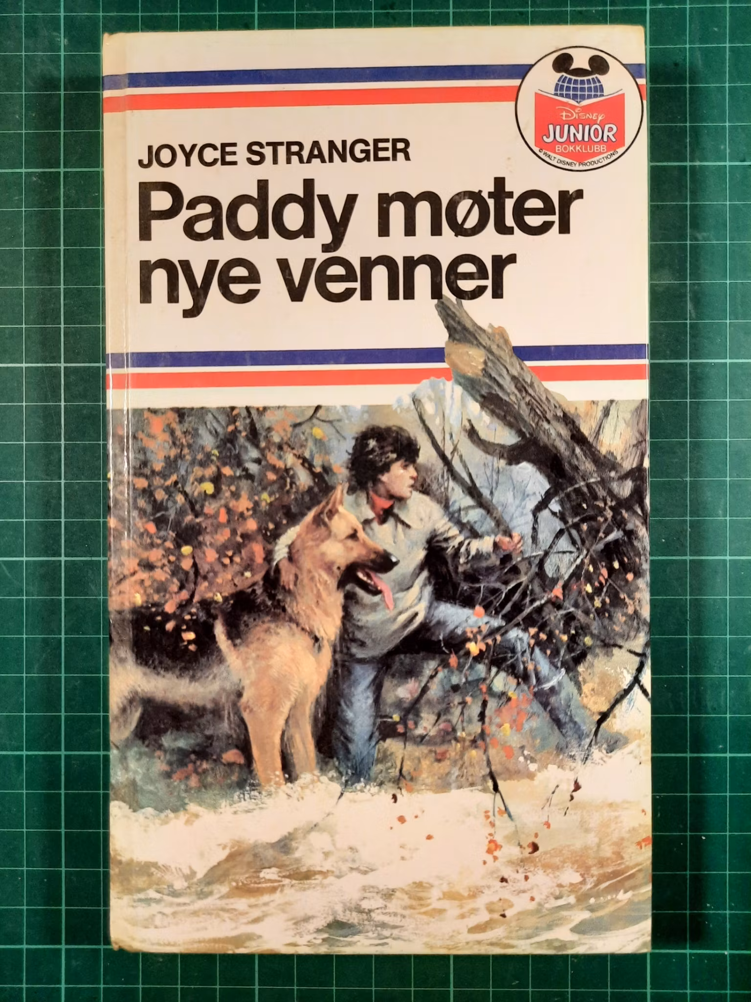 Paddy møter nye venner