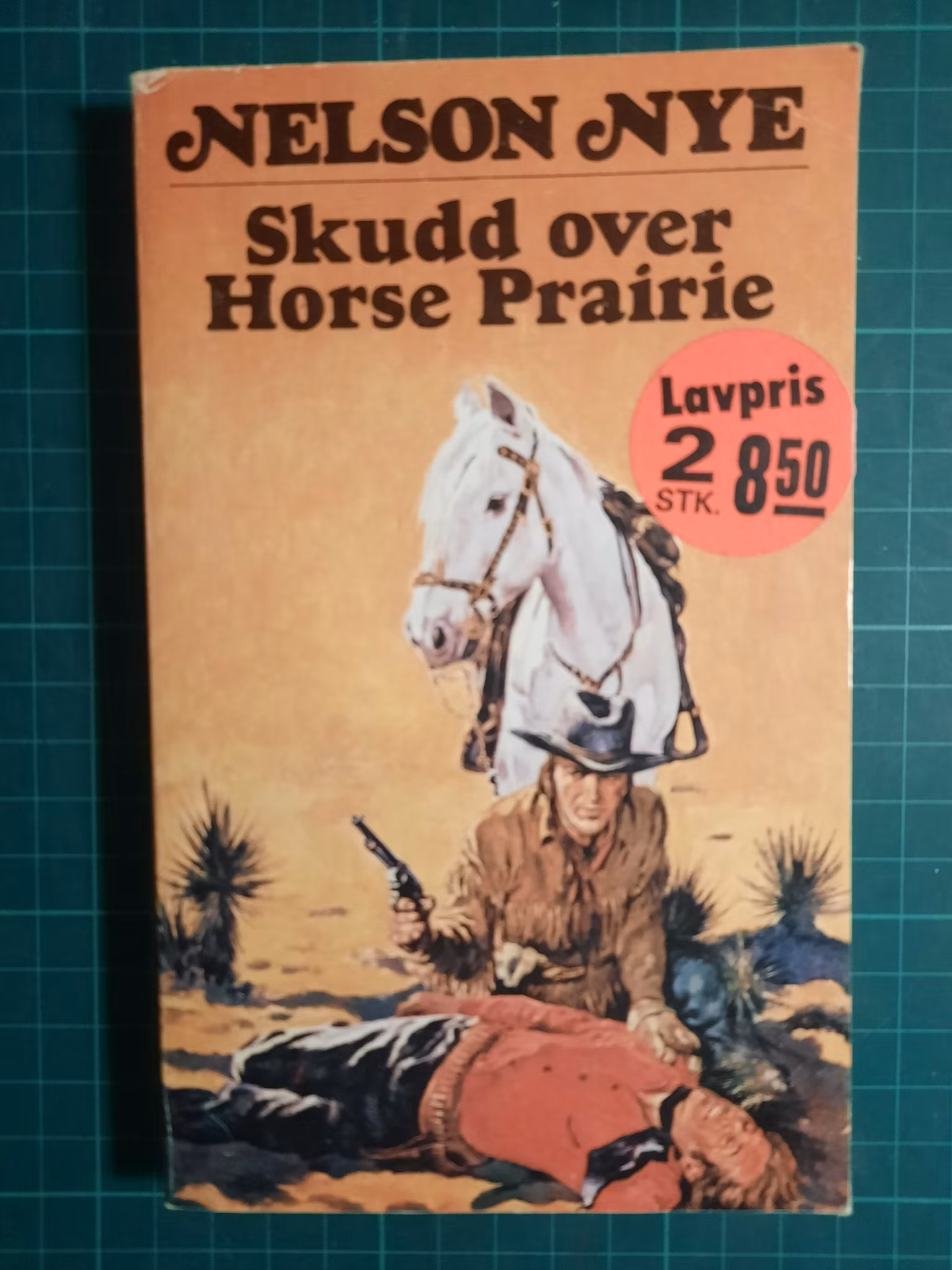 Skudd over horse prairie
