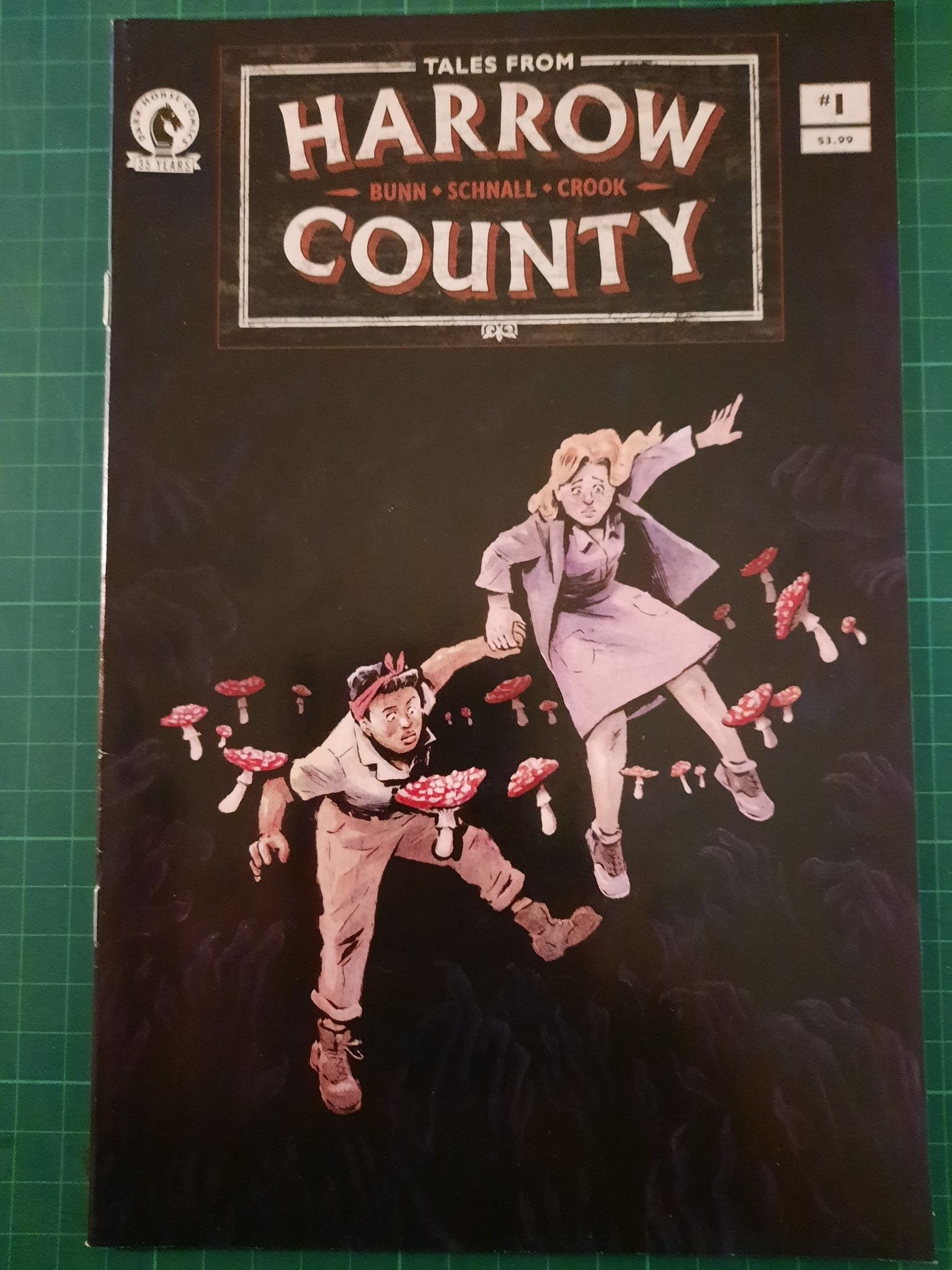 Tales from Harrow county #01