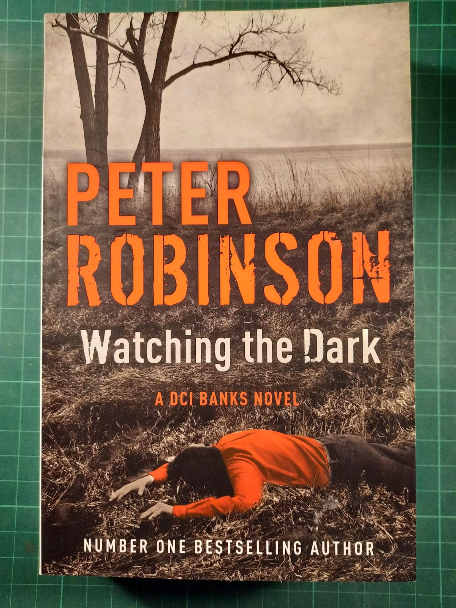Peter Robinson : Watching the dark