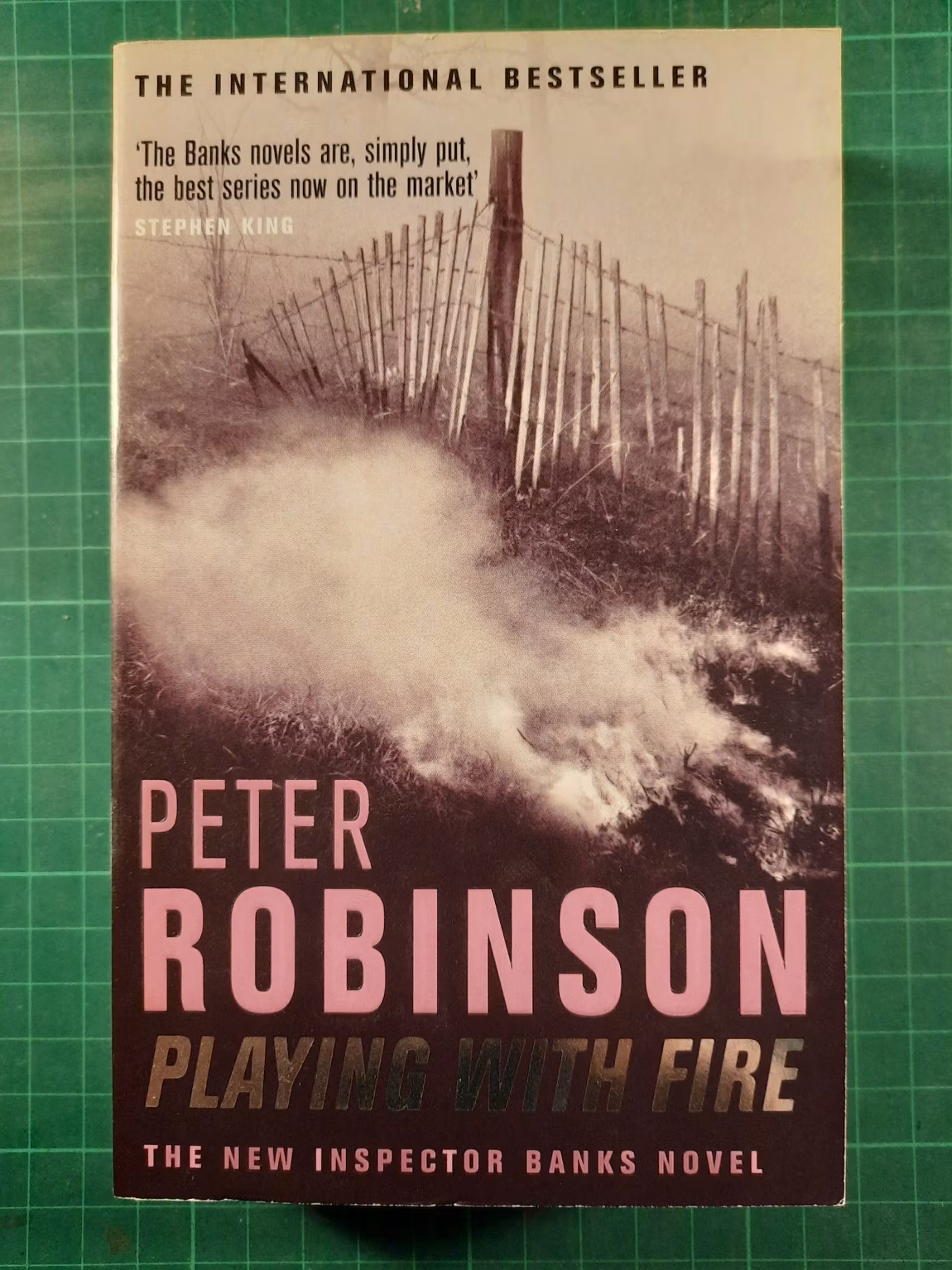 Peter Robinson : playing with fire