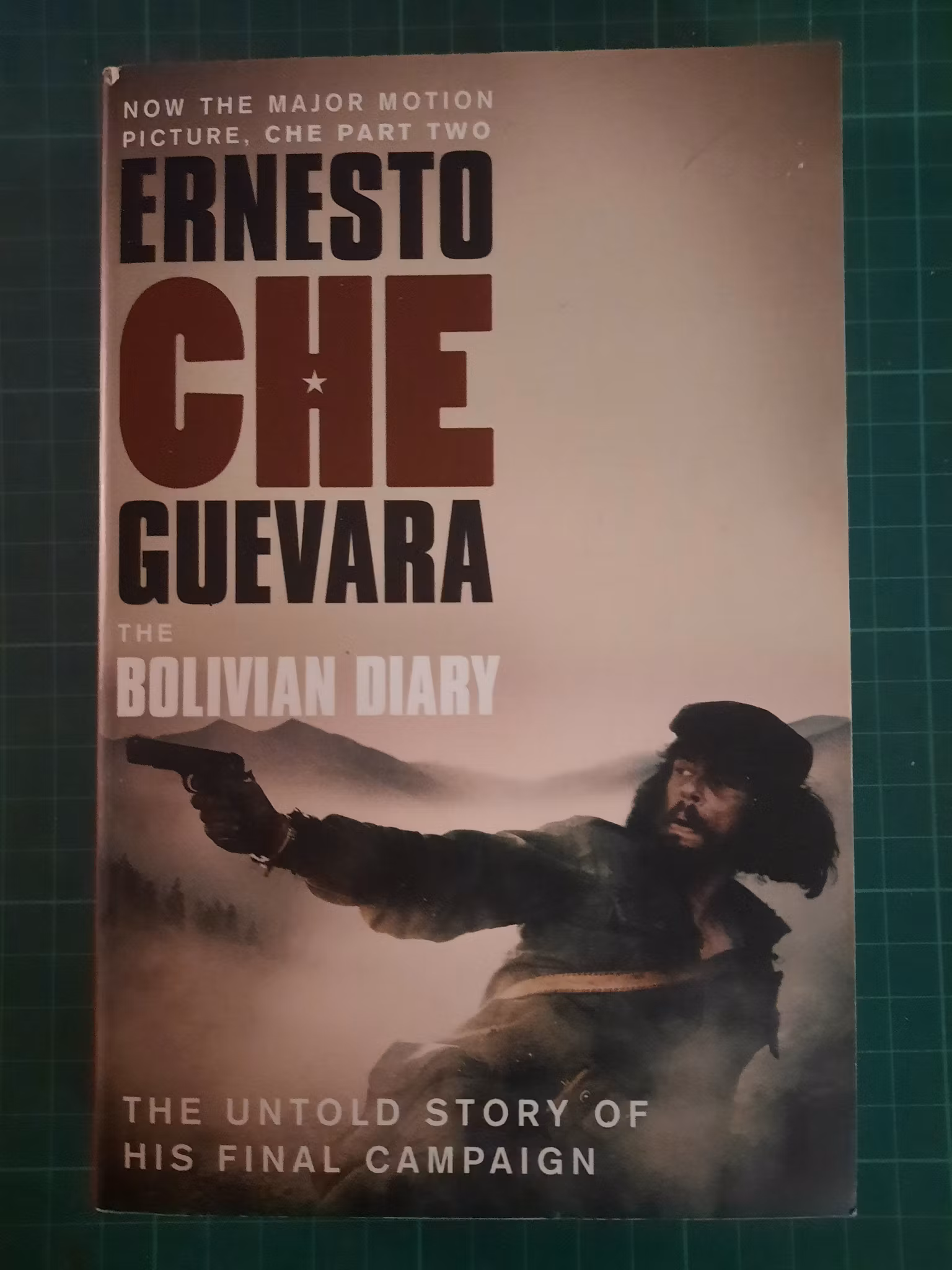 Che Guevara : The Bolivian diary
