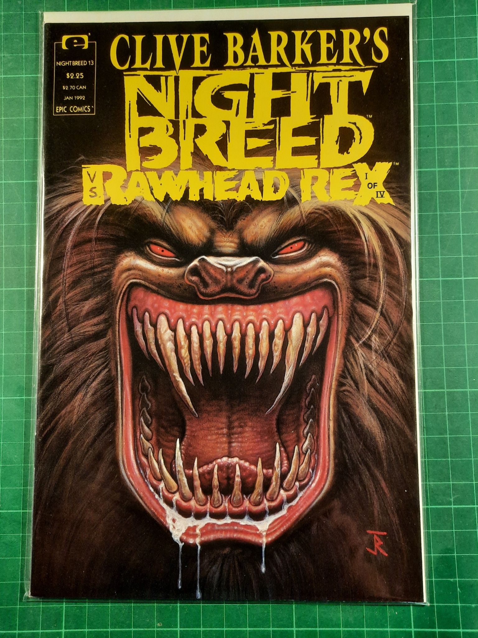 Nightbreed #13