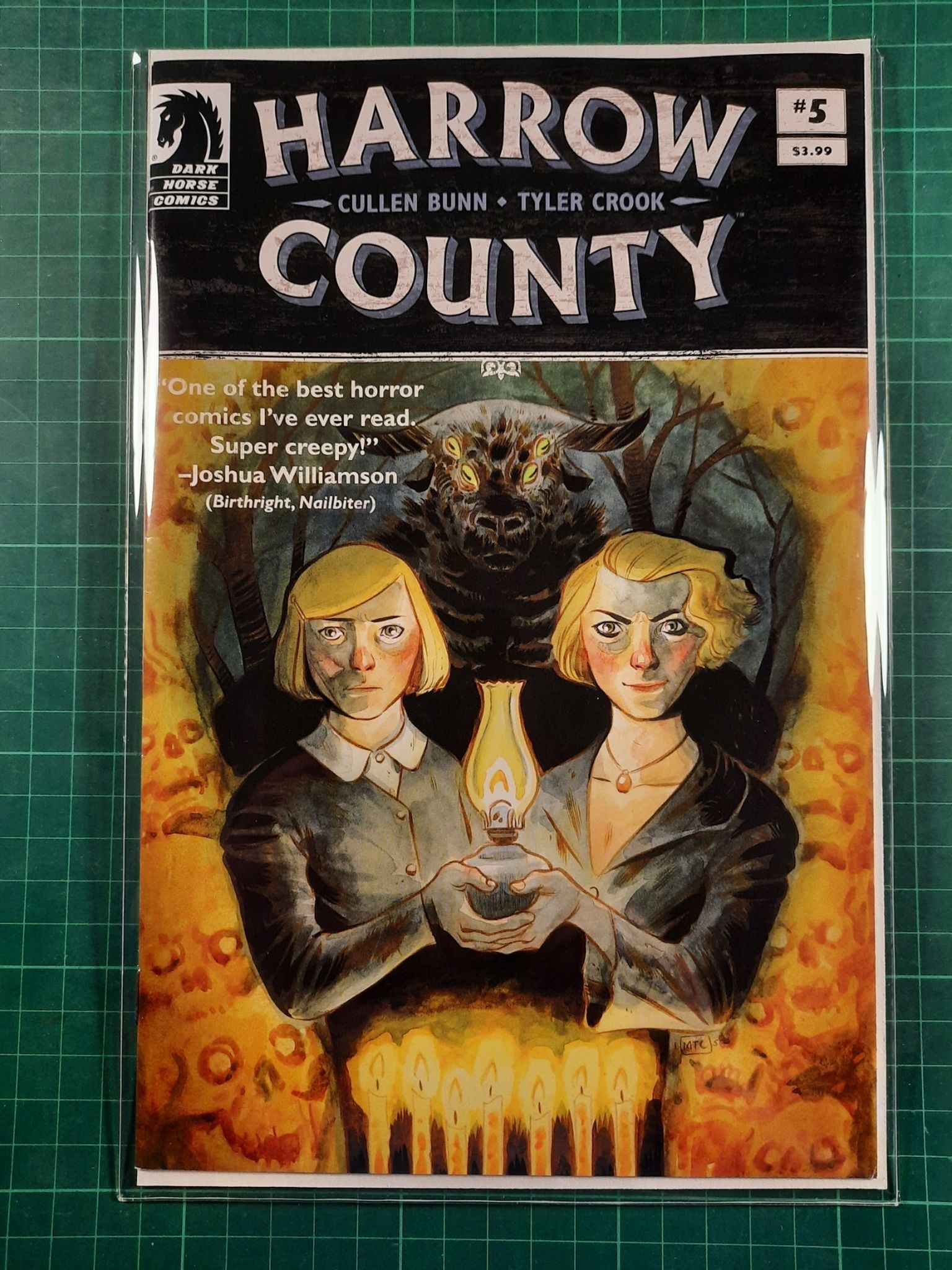 Harrow County #05