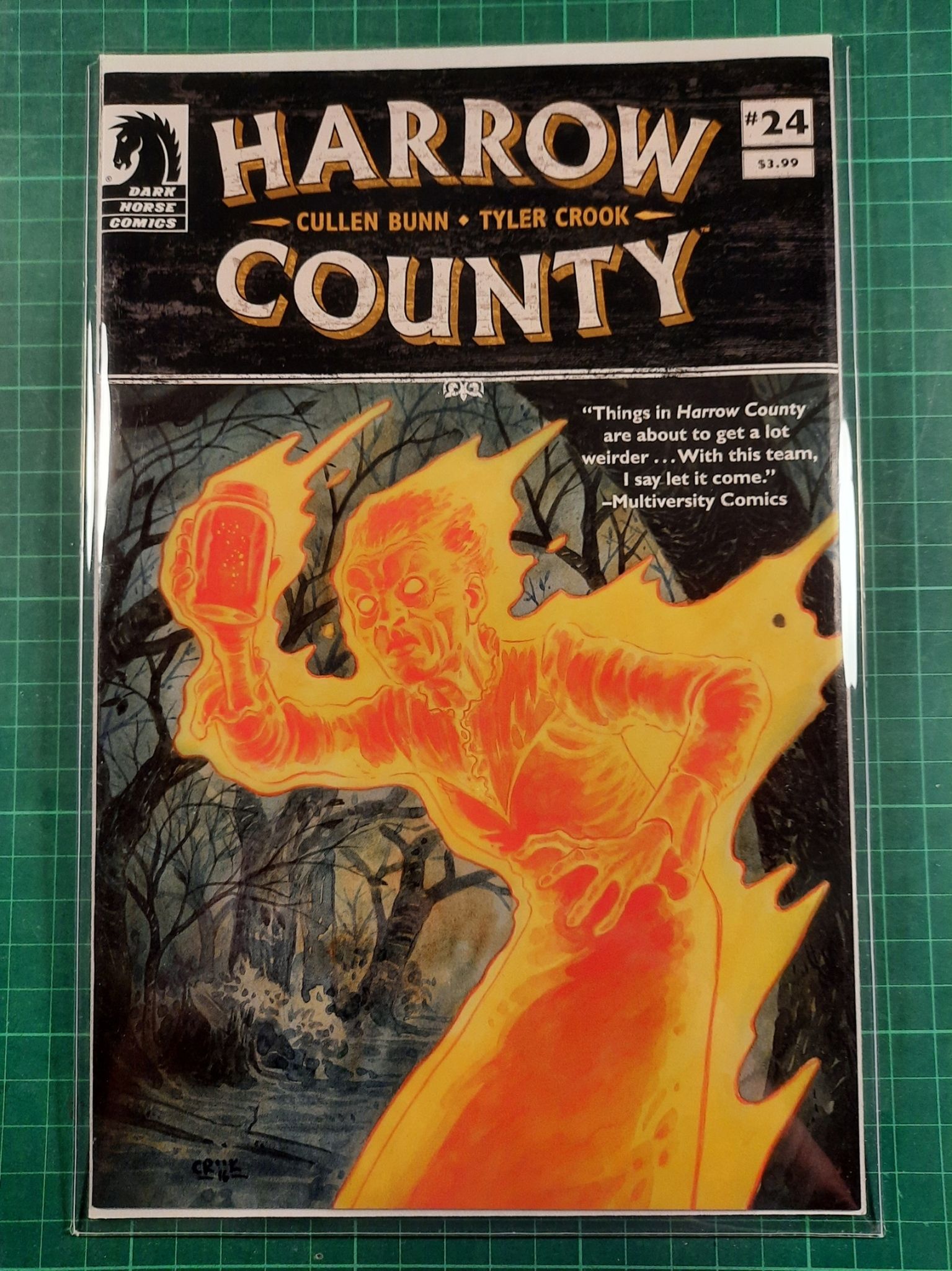 Harrow County #24