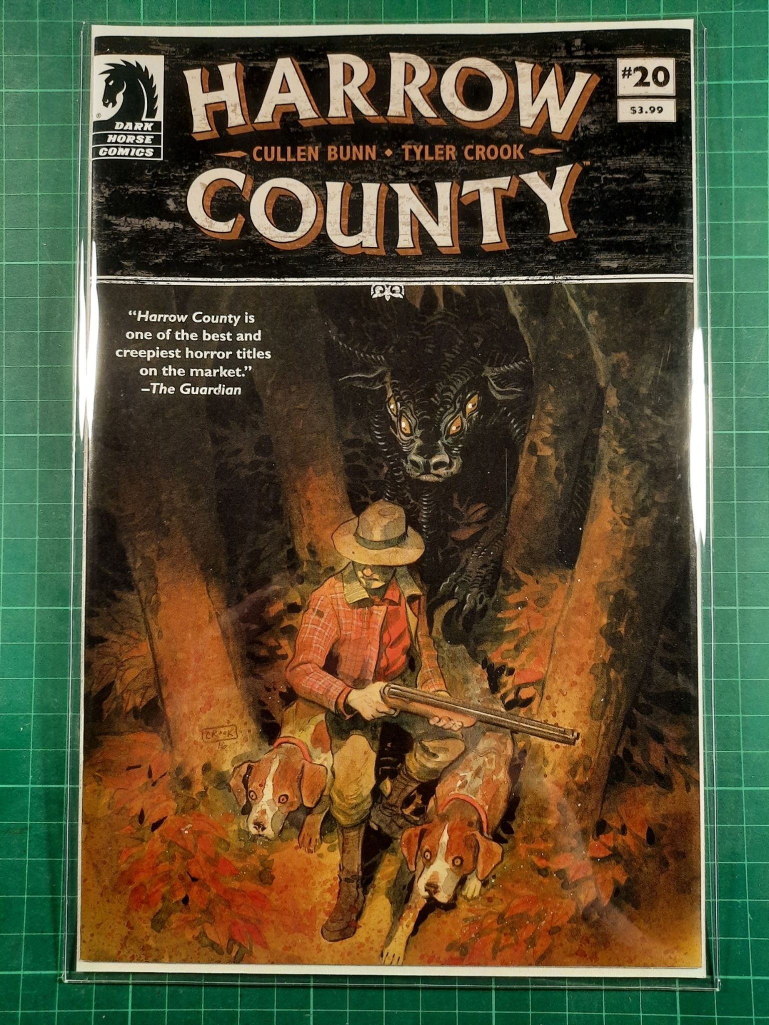 Harrow County #20