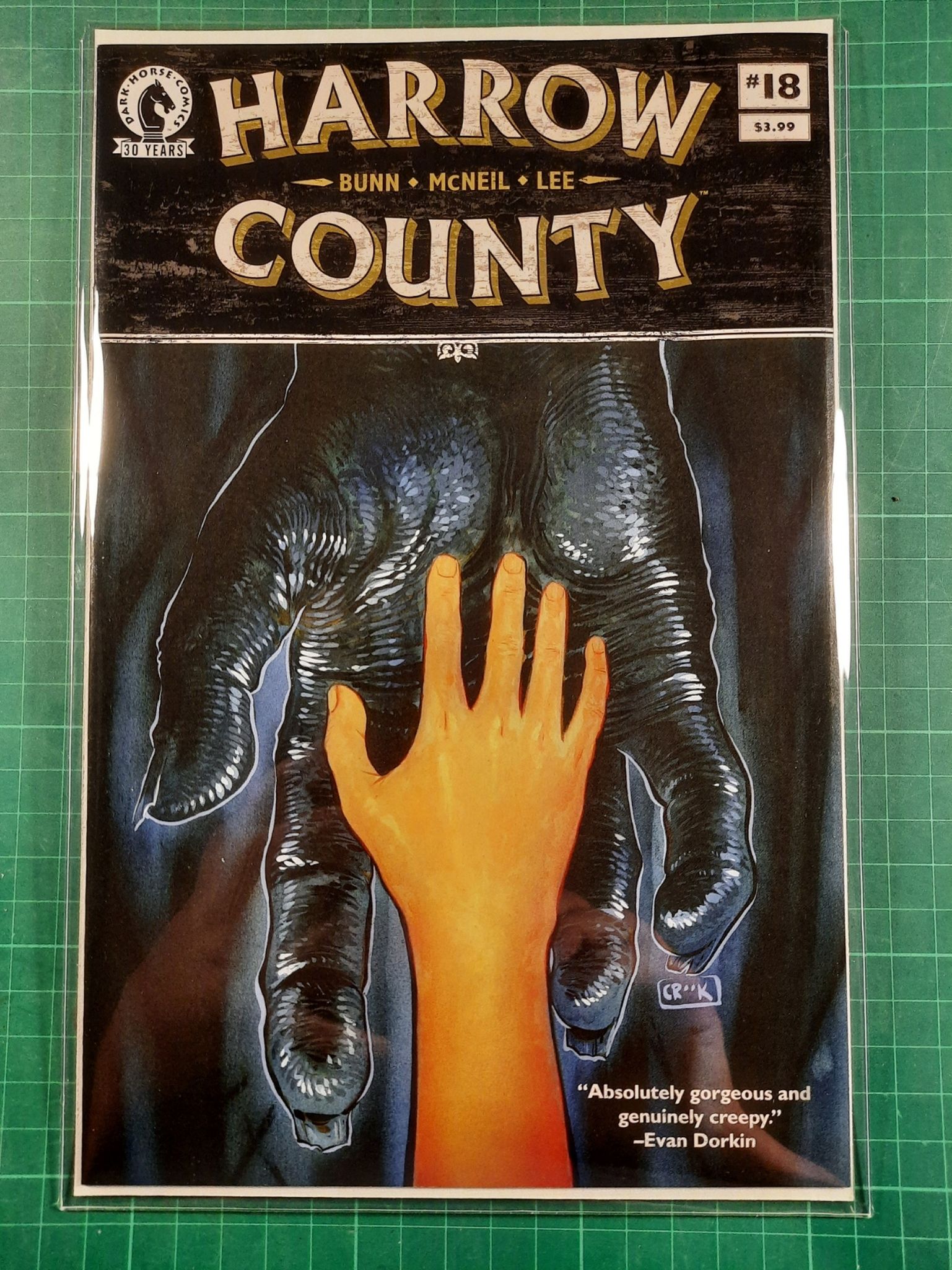 Harrow County #18