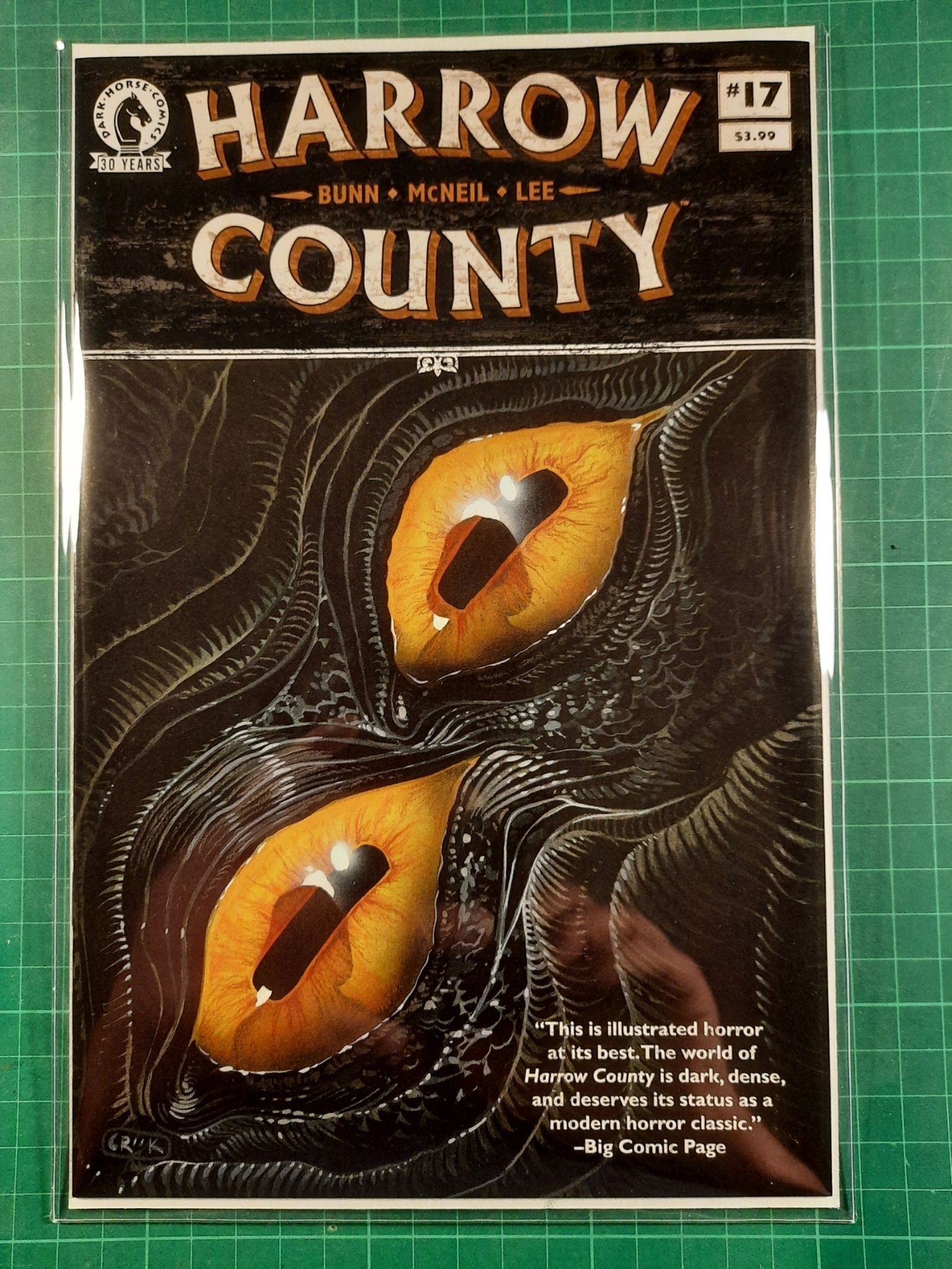 Harrow County #17
