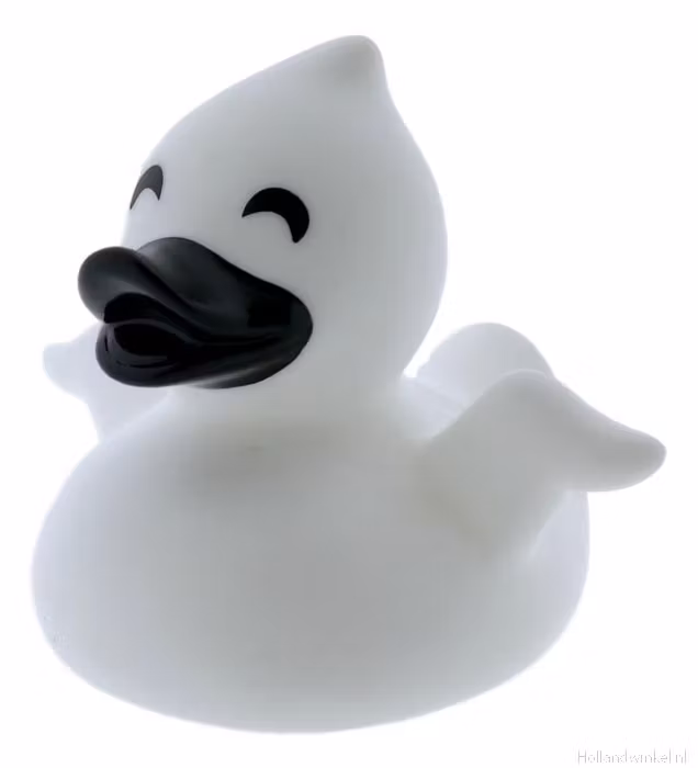 Badeand Ghost Duck