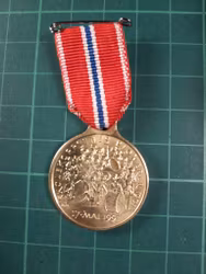 17 Mai medalje 1991 Skolekorpsene