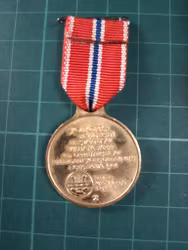 17 Mai medalje 1991 Skolekorpsene