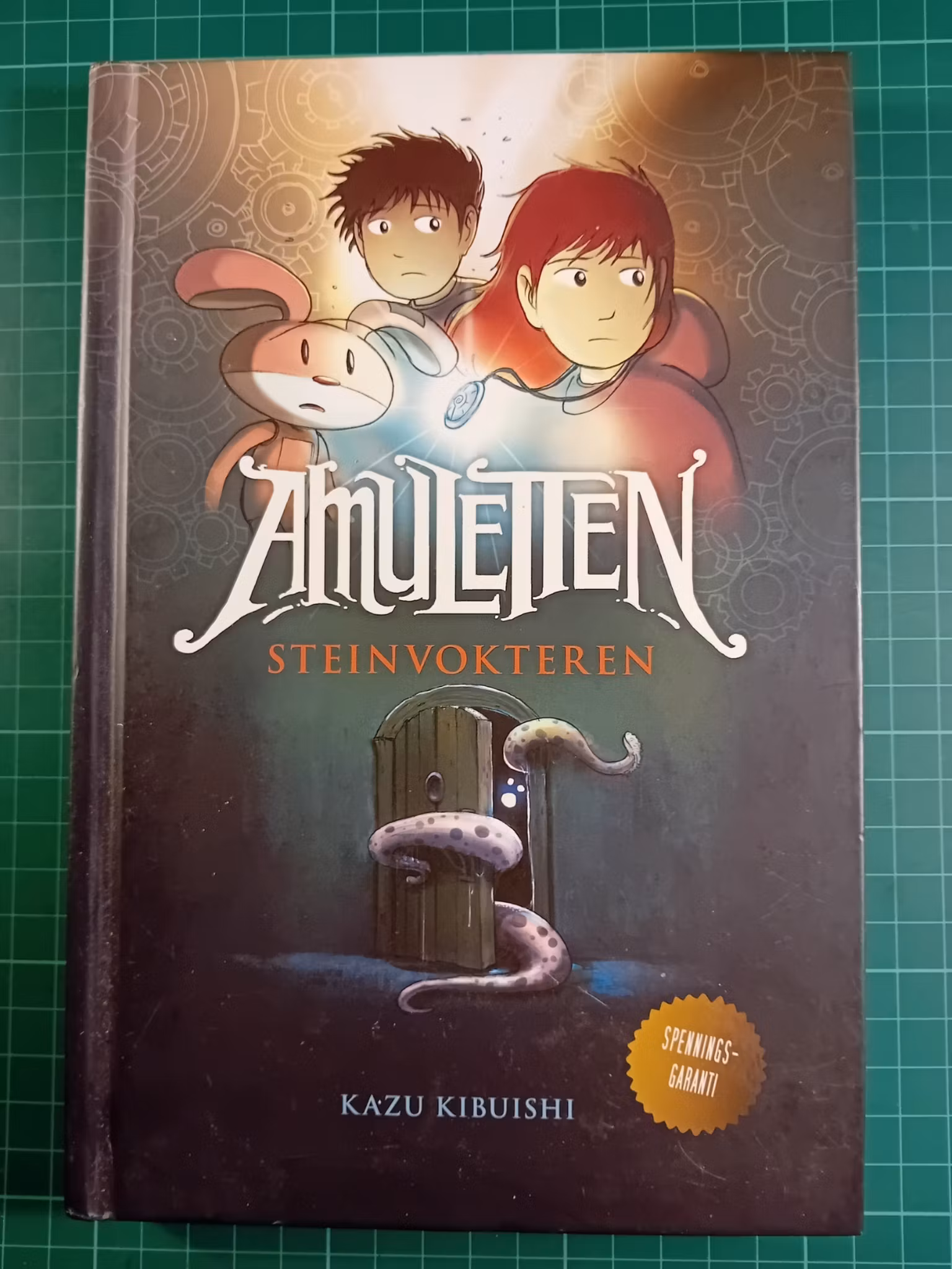 Amuletten 1 : Steinvokteren (Hardcover)