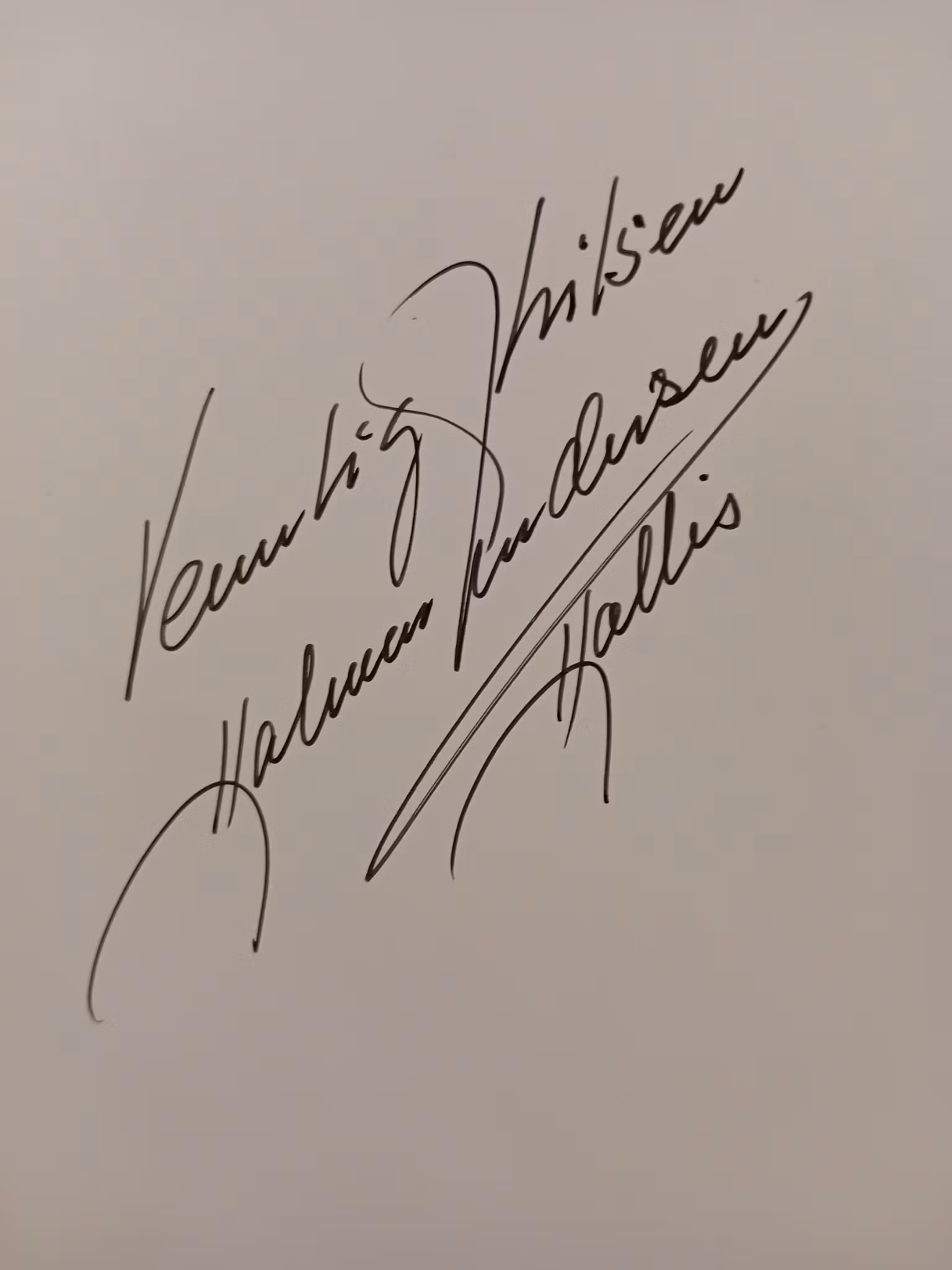 Hjallis : Den gode, gamle, gale istida (Signert)