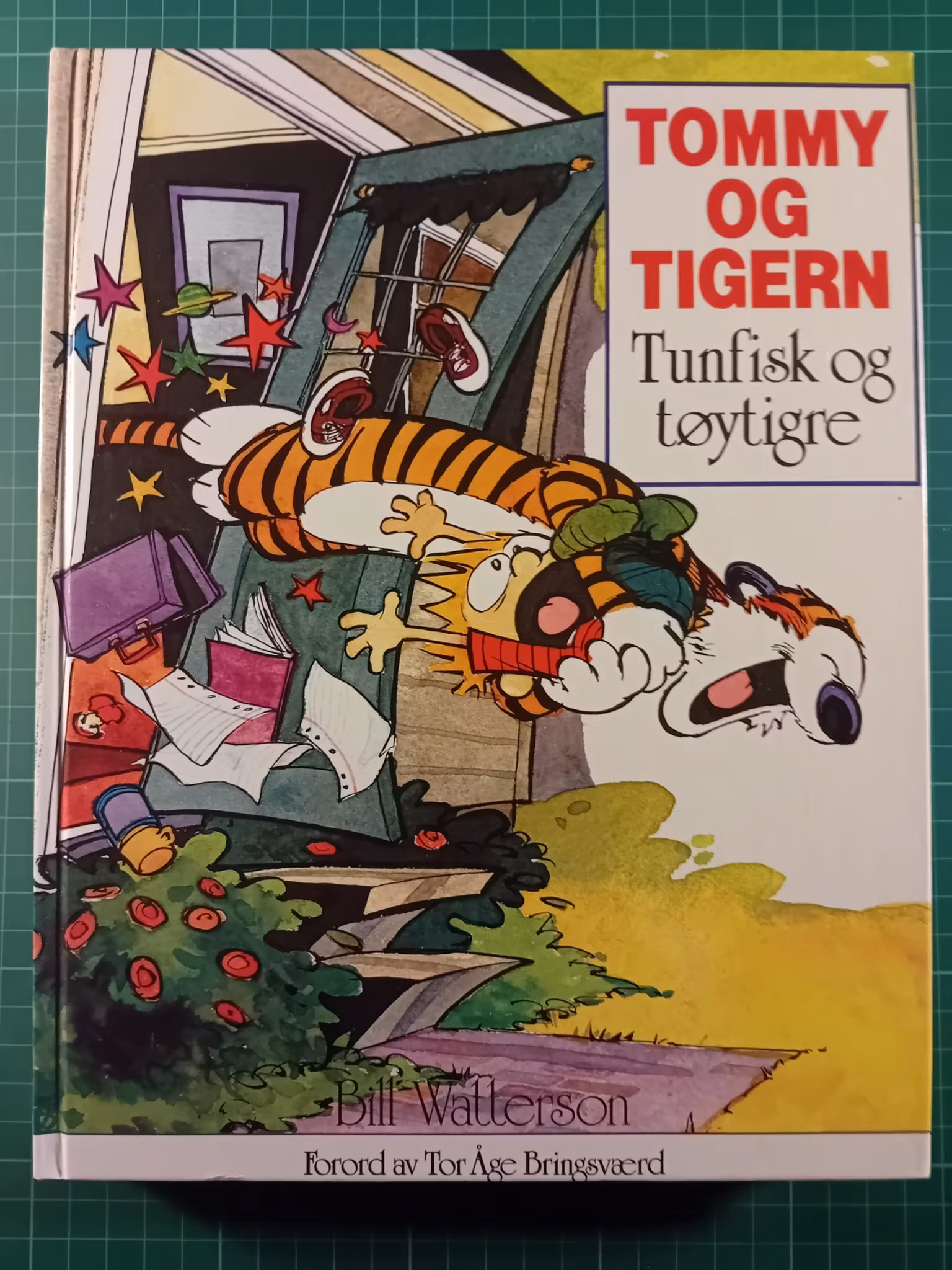 Tommy og Tigern : Tunfisk og tøytigre