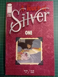 A touch of silver One