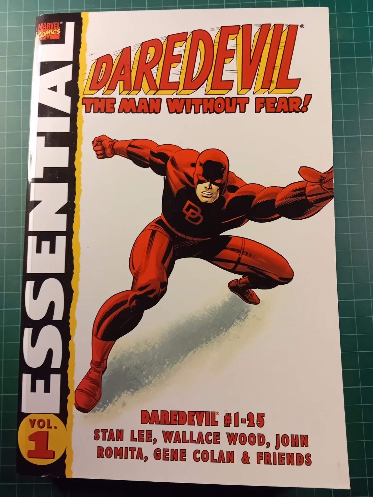 Marvel Essential Daredevil vol 1