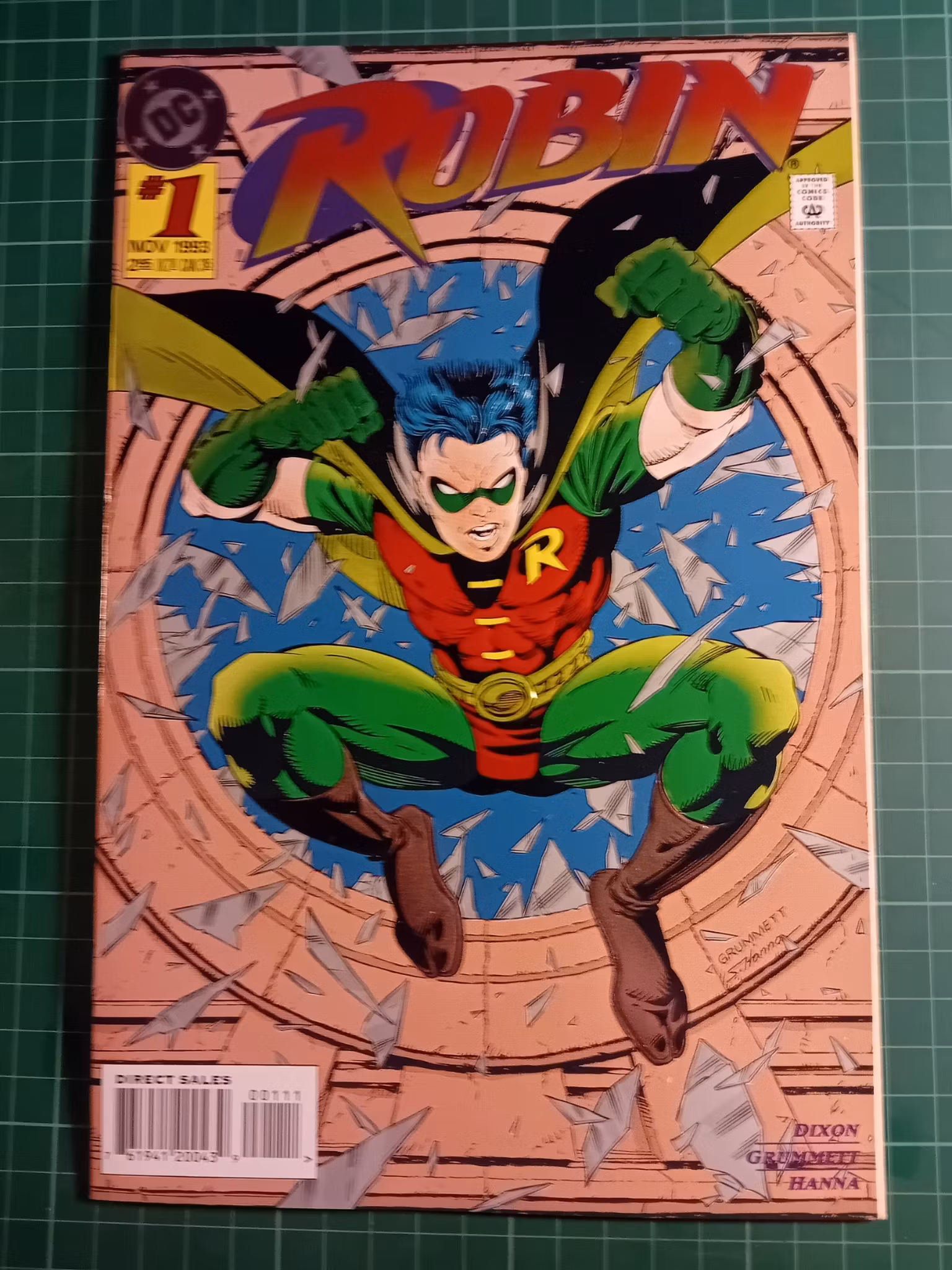 Robin #01