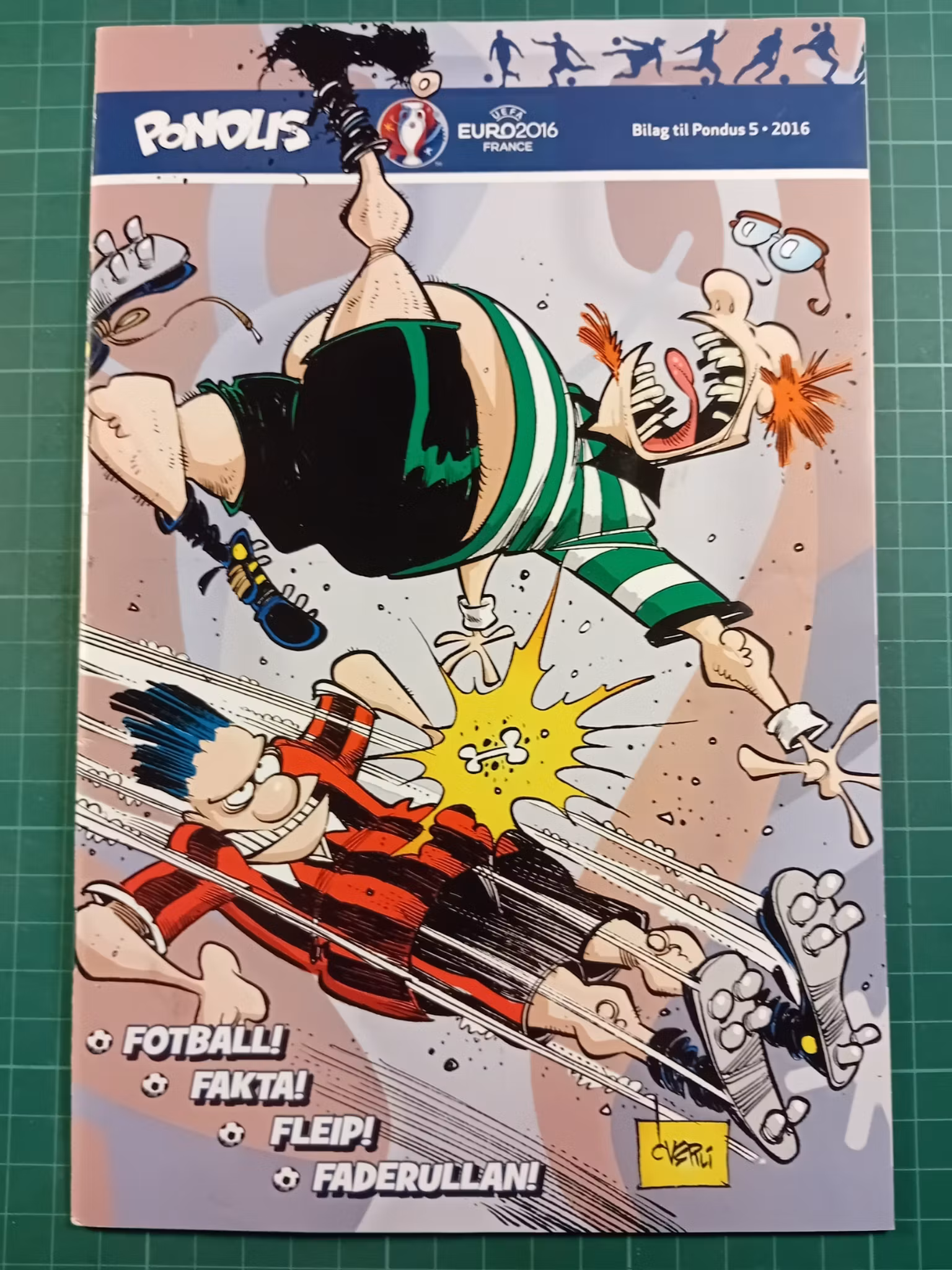 Pondus bilag Euro 2016