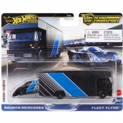 Team Transport #67 - Sauber-Mercedes 2009 + Fleet flyer