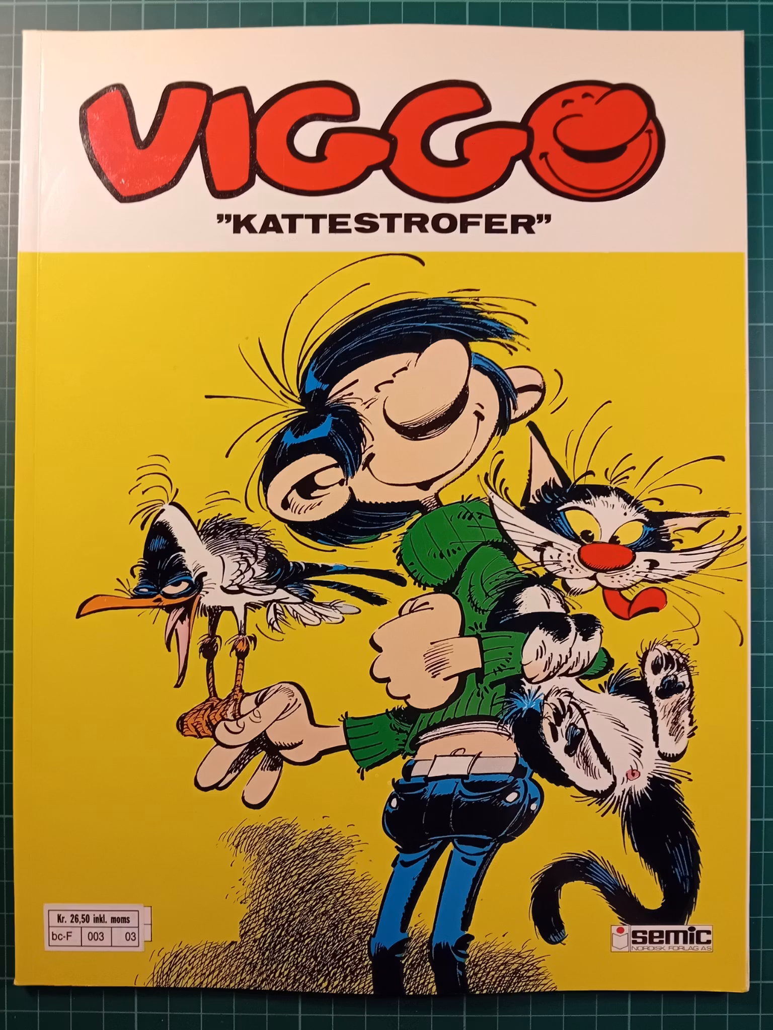 Viggo 11 kattestrofer