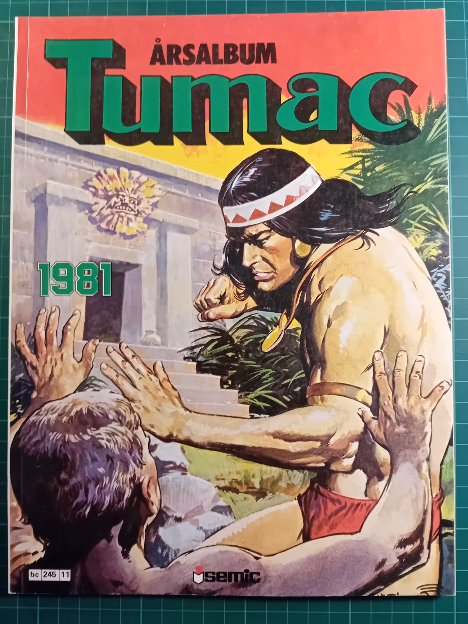 Tumac årsalbum 1981