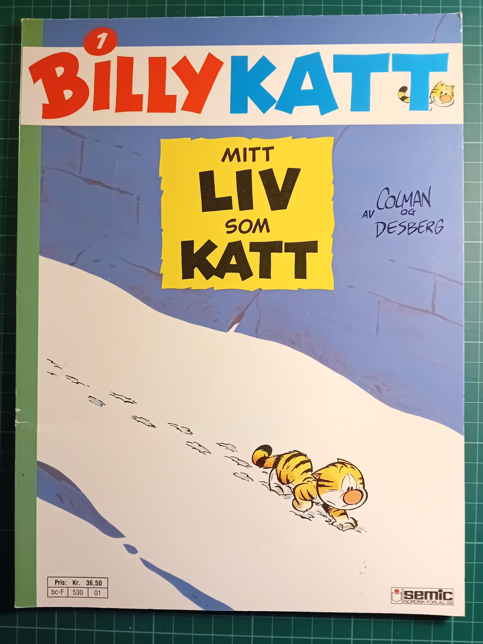 Billy katt 1 Mitt liv som katt