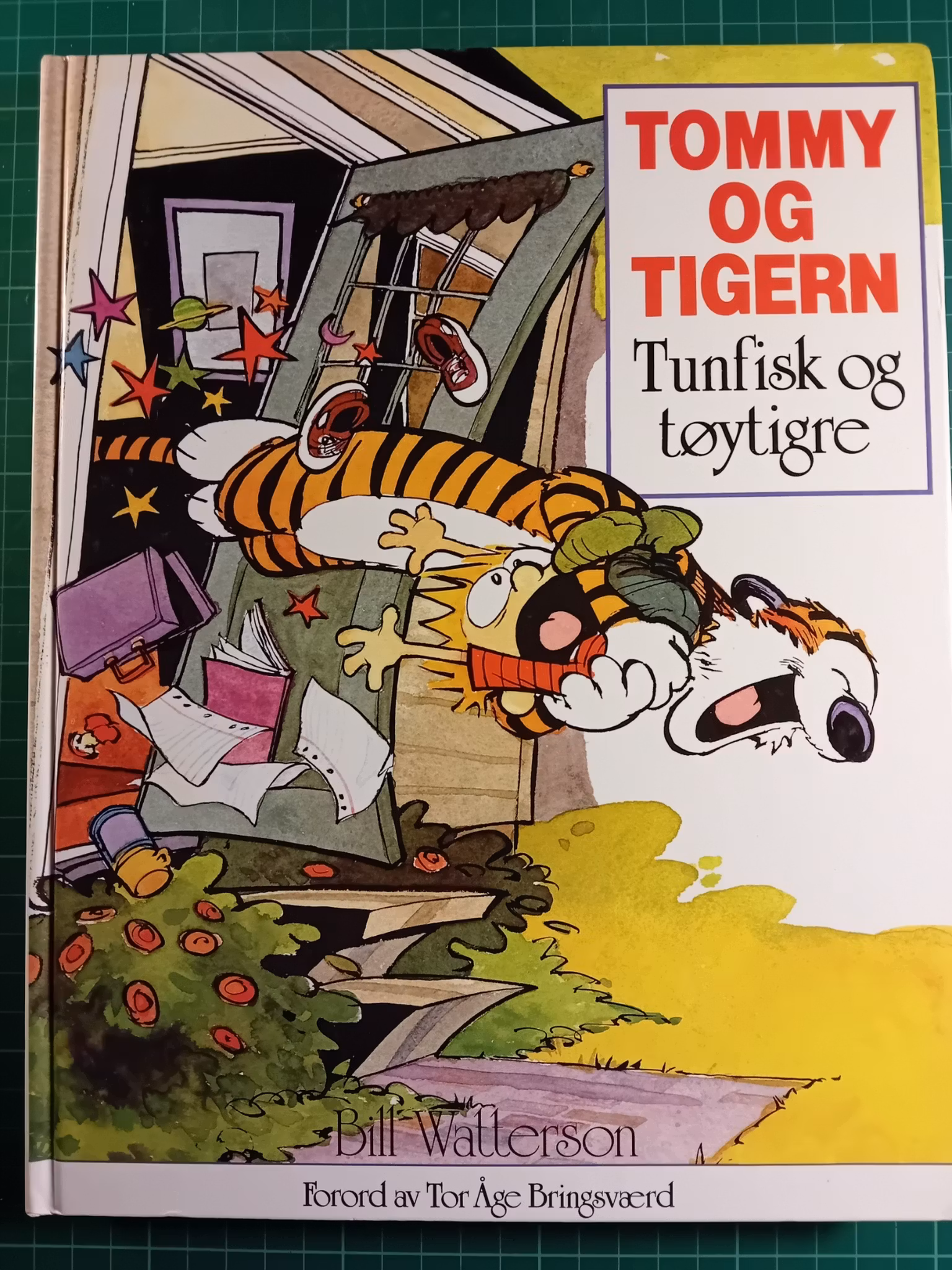 Tommy og Tigern Tunfisk og tøytigre