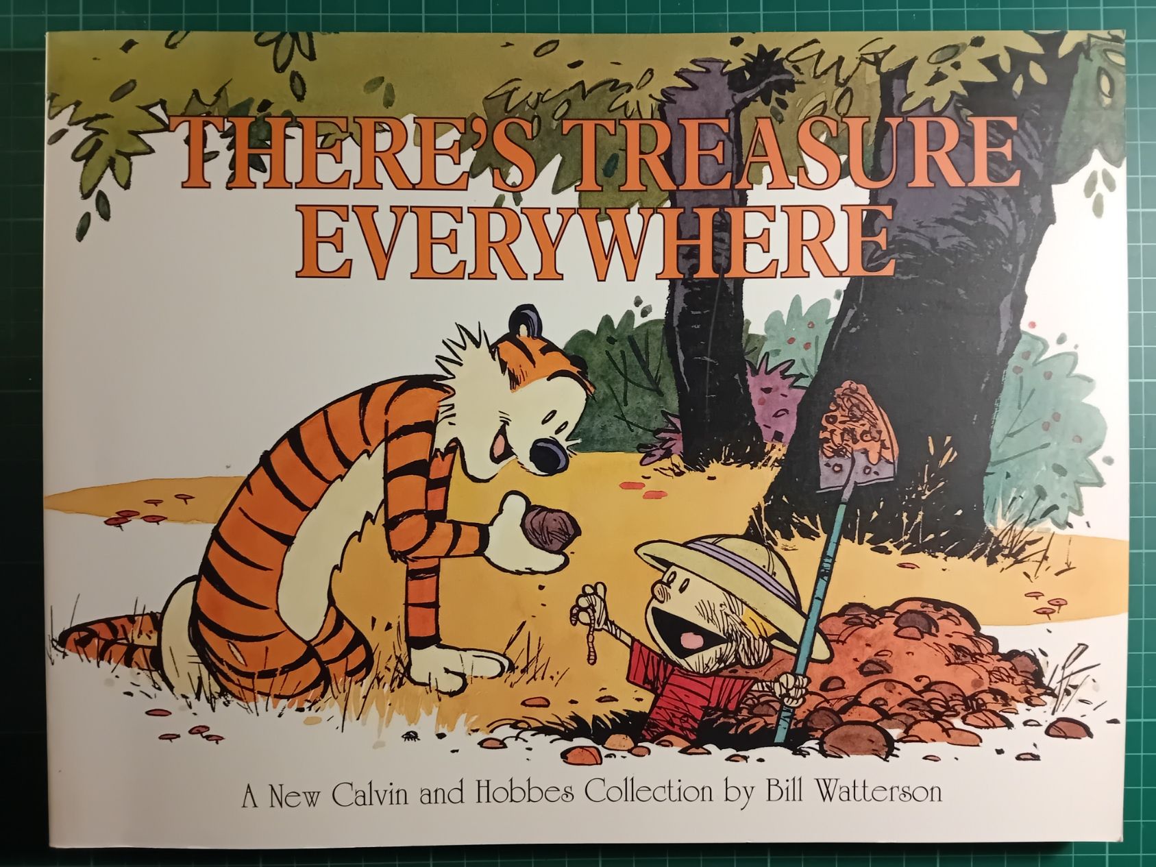 Calvin and  Hobbes : There's treasure everywhere (USA)