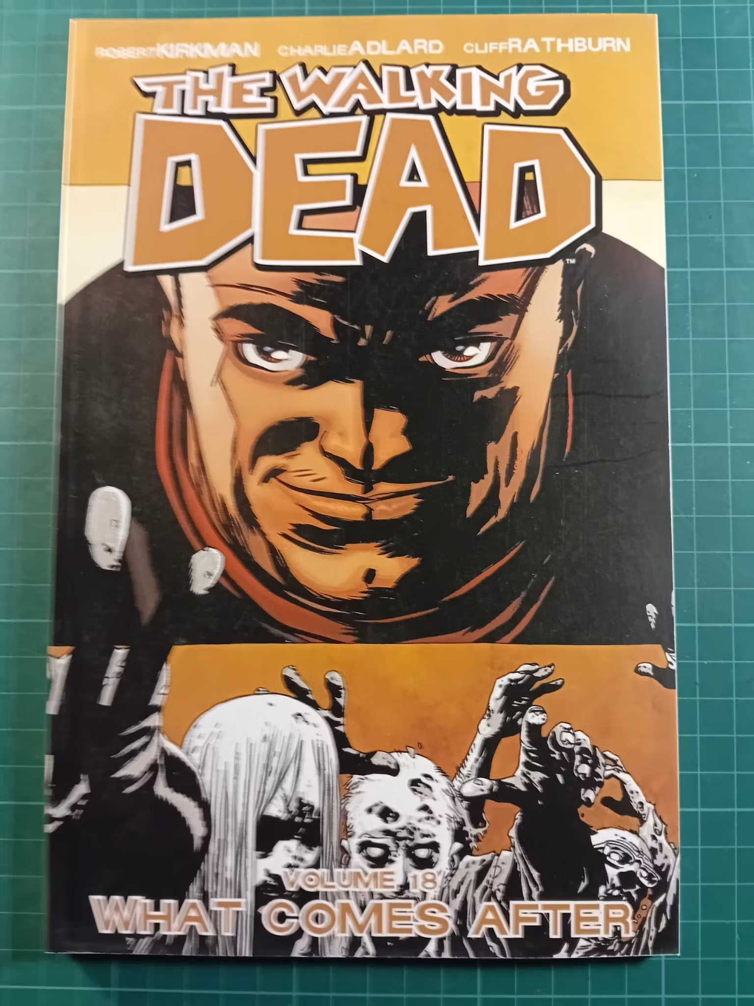 The walking dead Volume 18 What comes after