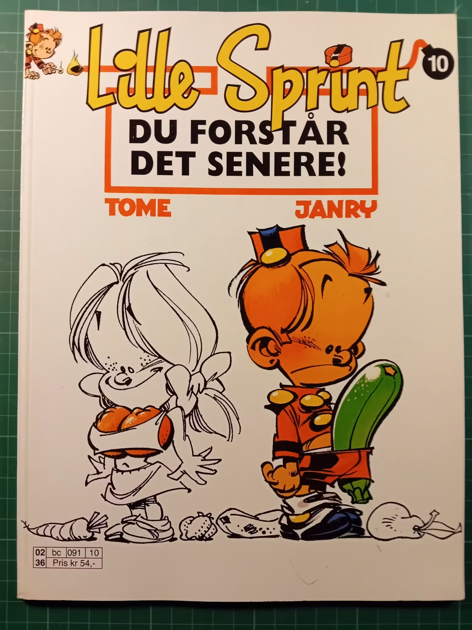Lille Sprint 10 Du forstår det senere!