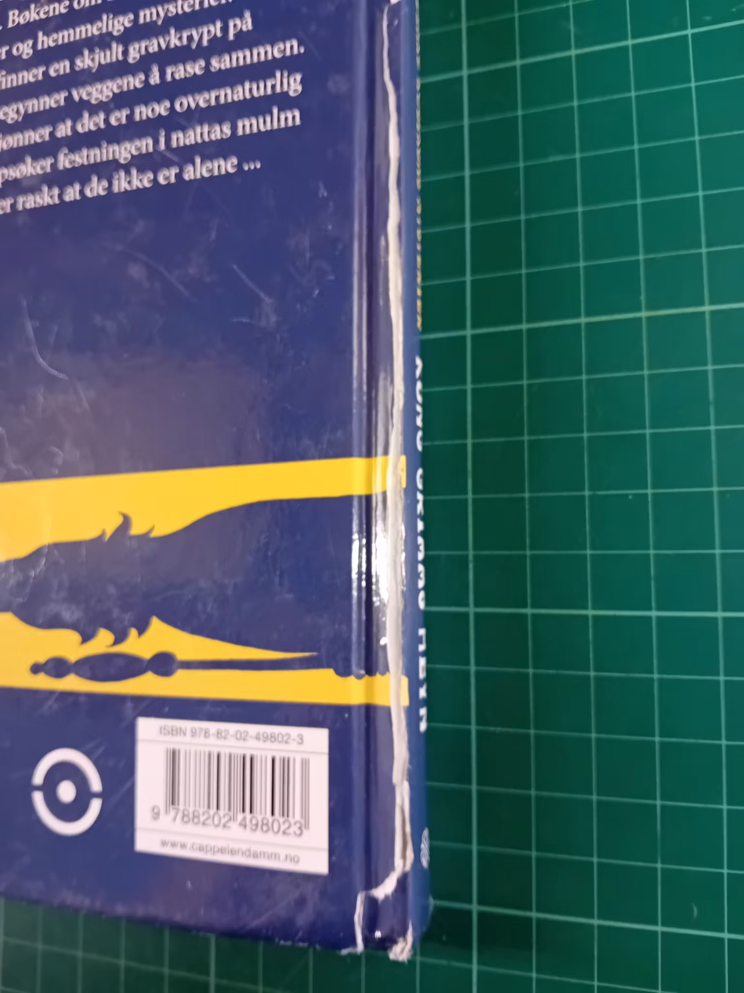 Edward Rubikons Mysterier : Kong Grimms hevn (Skadet)