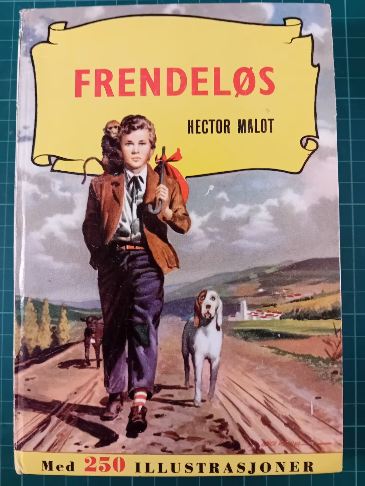 Verdens beste ungdomsbøker 04 Frendeløs