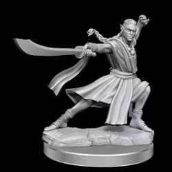 D&D frameworks Elf monk male