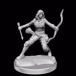 D&D frameworks Human rogue female