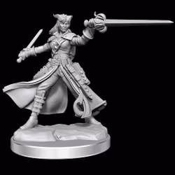 D&D frameworks Tiefling rogue female