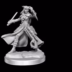 D&D frameworks Tiefling rogue female