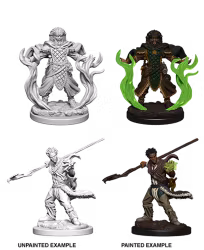 D&D Nolzur's marvelous miniatures Human Druid 2 pack