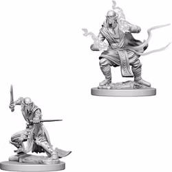 D&D Nolzur's marvelous miniatures Githzerai 2 pack