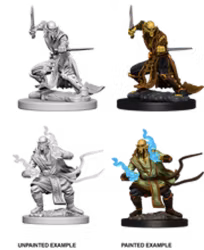 D&D Nolzur's marvelous miniatures Githzerai 2 pack