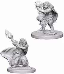 D&D Nolzur's marvelous miniatures Dwarf female Wizard 2 pack