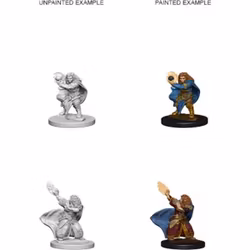 D&D Nolzur's marvelous miniatures Dwarf female Wizard 2 pack