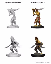 D&D Nolzur's marvelous miniatures Githyanki 2 pack