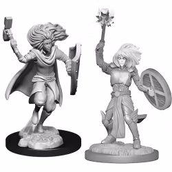 D&D Nolzur's marvelous miniatures Changeling Cleric female 2 pack
