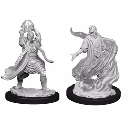 D&D Nolzur's marvelous miniatures Elf male sorcerer 2 pack