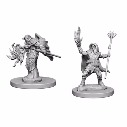D&D Nolzur's marvelous miniatures Elf Wizard male 2 pack