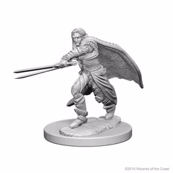 D&D Nolzur's marvelous miniatures Elf ranger male 2 pack