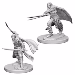 D&D Nolzur's marvelous miniatures Elf ranger male 2 pack