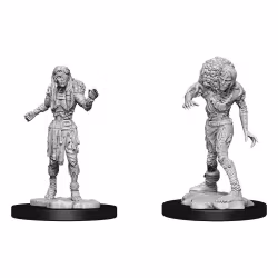 D&D Nolzur's marvelous miniatures Drowned assassin & ascetic 2 pack
